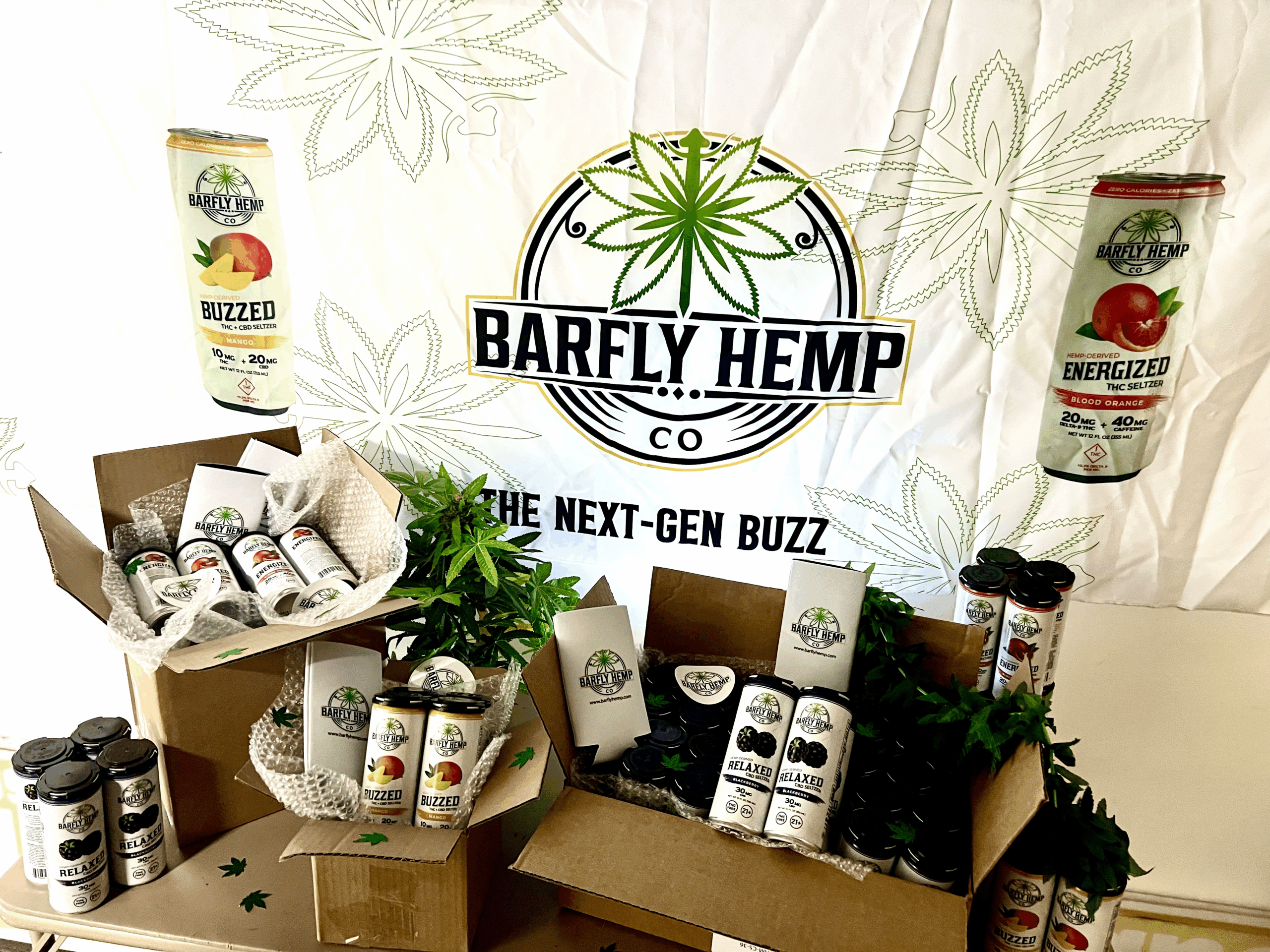 A Barfly Hemp Co. event booth featuring a branded backdrop, boxes of hemp seltzers including Buzzed Mango, Relaxed Blackberry, and Energized Blood Orange, plus decorative greenery and marketing materials.
