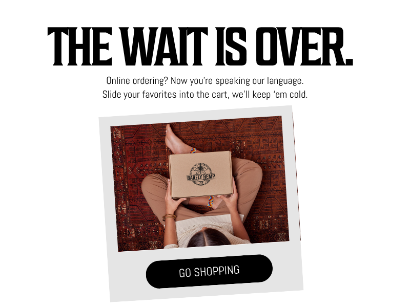 A popup featuring a person holding a box of Barfly Hemp Co THCdrinks to announce online ordering. Text reads "the wait is over. online ordering? now you're speaking our language. Slide your favorites into the cart, we'll keep 'em cold." A black button reads "go shopping"